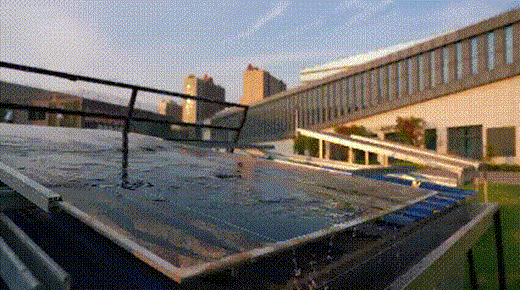 202608171510258823.gif