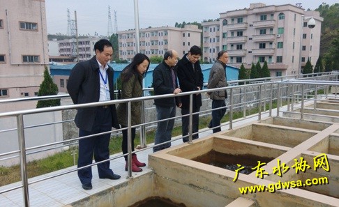 省水协秘书处一行到海丰县供水公司进行调研
