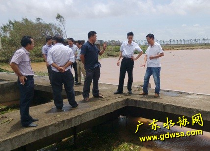 图为专家组在雷州水厂察看水源地，了解源水水质