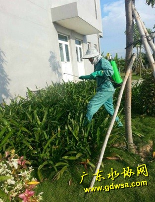 珠海水务集团全面落实“登革热”防控措施，确保供水安全