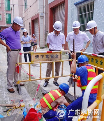 东莞市万江区领导一行参观万江蟹地村管网改造工程展示
