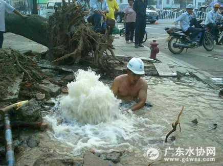 台风吹倒大树导致供水管道受牵连发生爆漏，水务集团管道抢修员工跳进水里抢修，而当时湛江受冷空气影响温度只有20度左右。