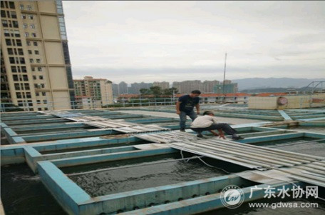 提前部署 防范未然 清远水司防御台风“山竹”侧记
