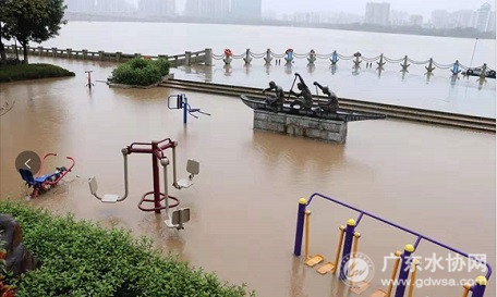 图为北江清远段河水上涨淹没了公园